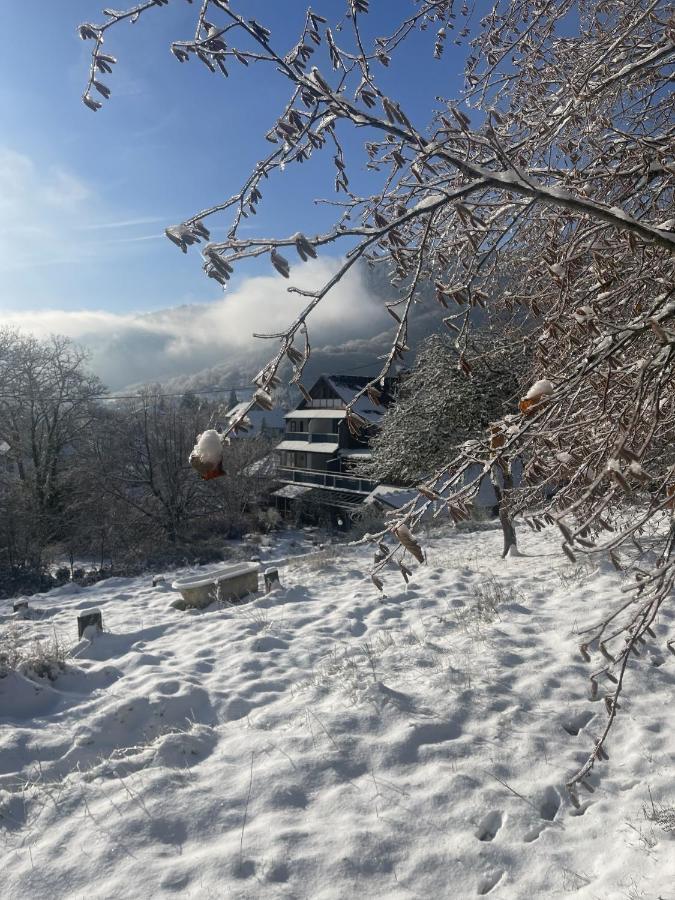 Le Manoir Des Sens - Foret De 베아카임 외부 사진